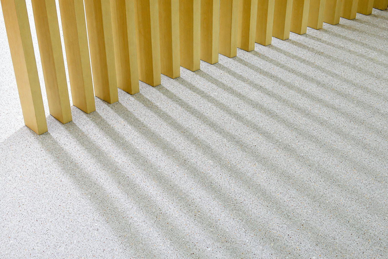 Terrazzo Flooring